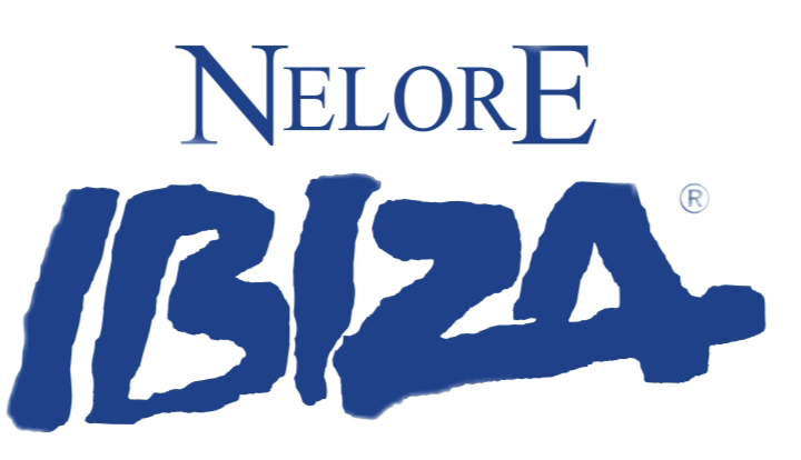 IBIZA
